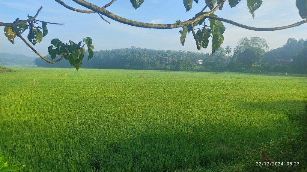 nearby attoor homestay