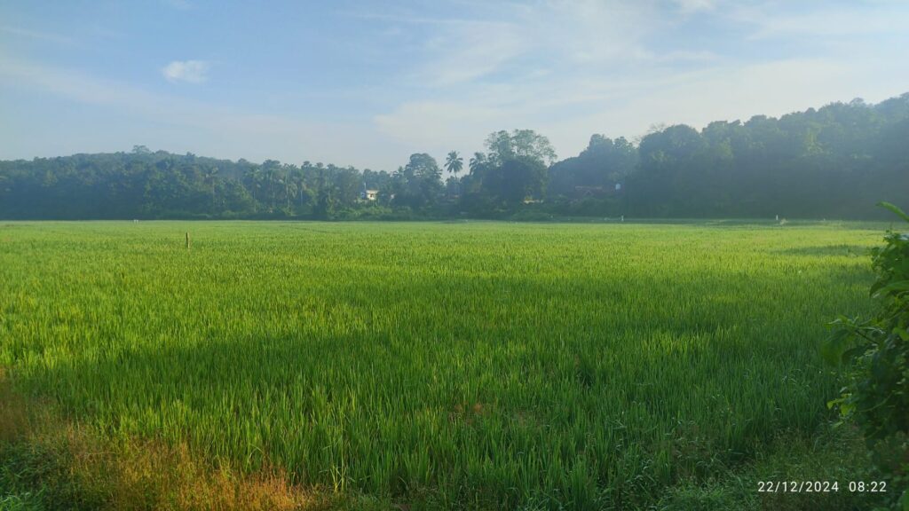 nearby attoor homestay4