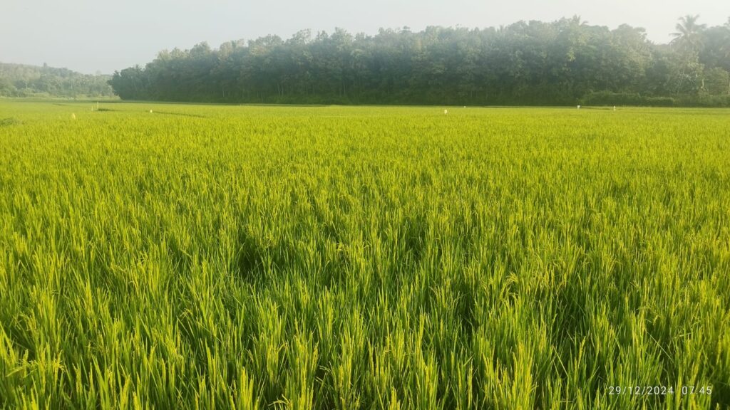 nearby attoor homestay6